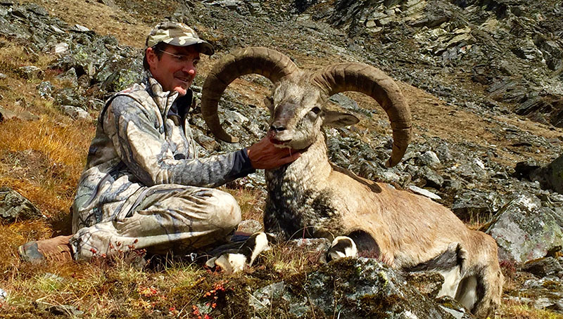 Himalayan Safaris Pvt Ltd.